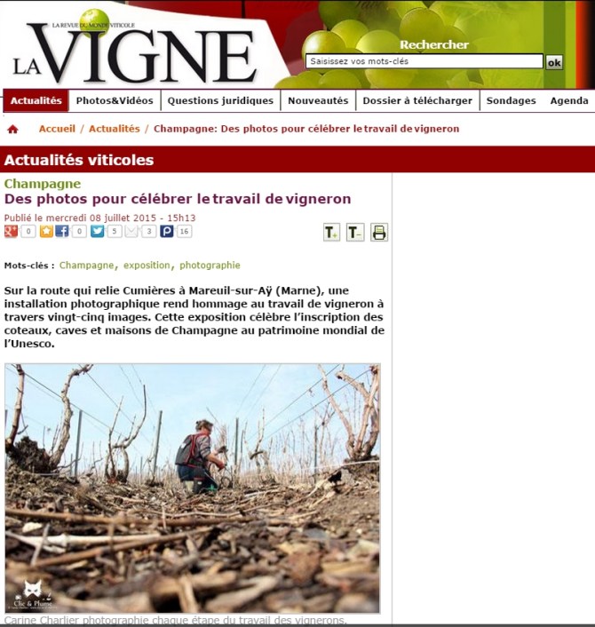 Article La Vigne 