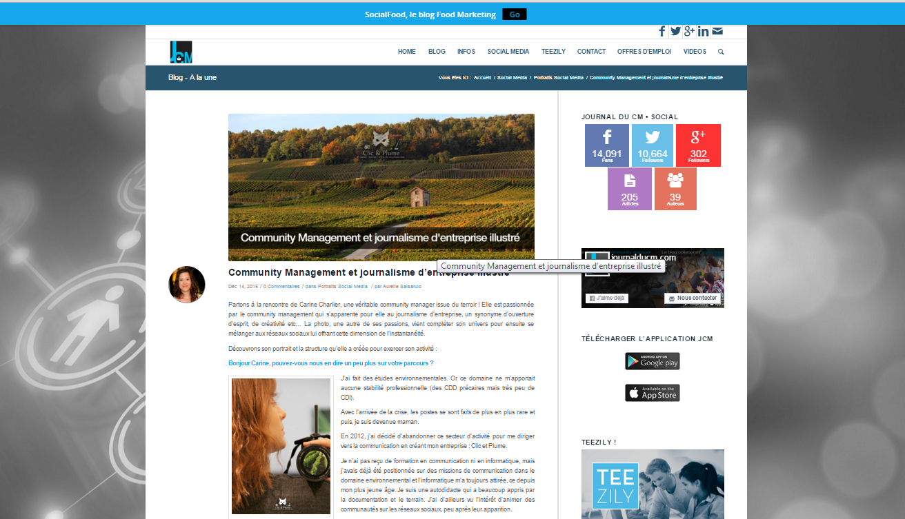 Article Journal du CM