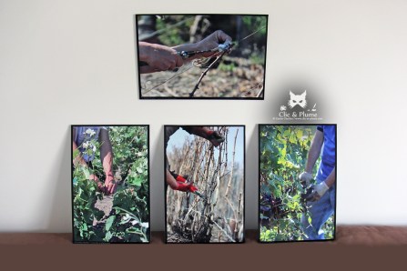 Impression sur Dibond