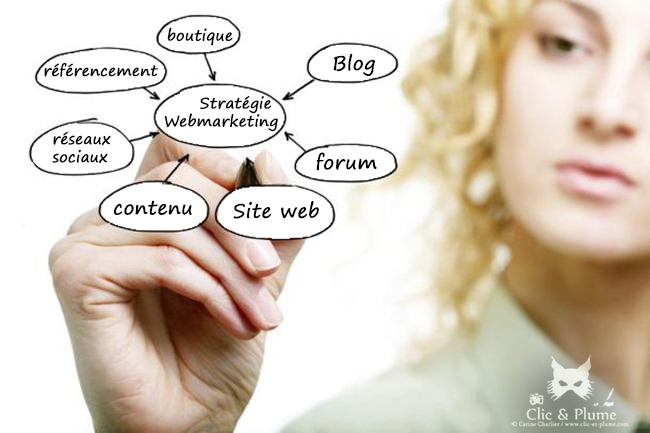 Infographie Web-Marketing