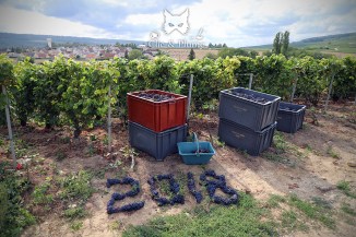 © Carine Charlier / clic &amp; plume