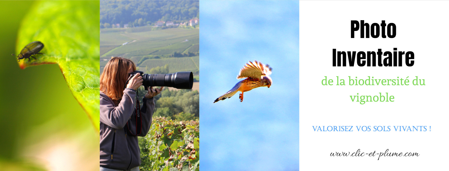 photo inventaire biodiversite carine charlier