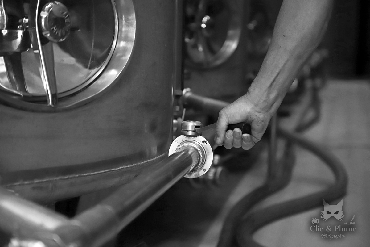 Reportage vendanges par ©Carine Charlier / Clic et Plume