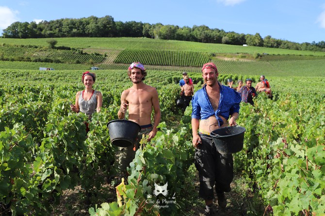 © Carine Charlier - www.clic-et-plume.com