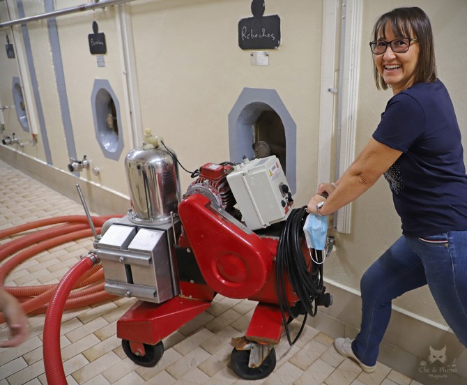 Vendanges par © Carine Charlier / Clic et Plume
